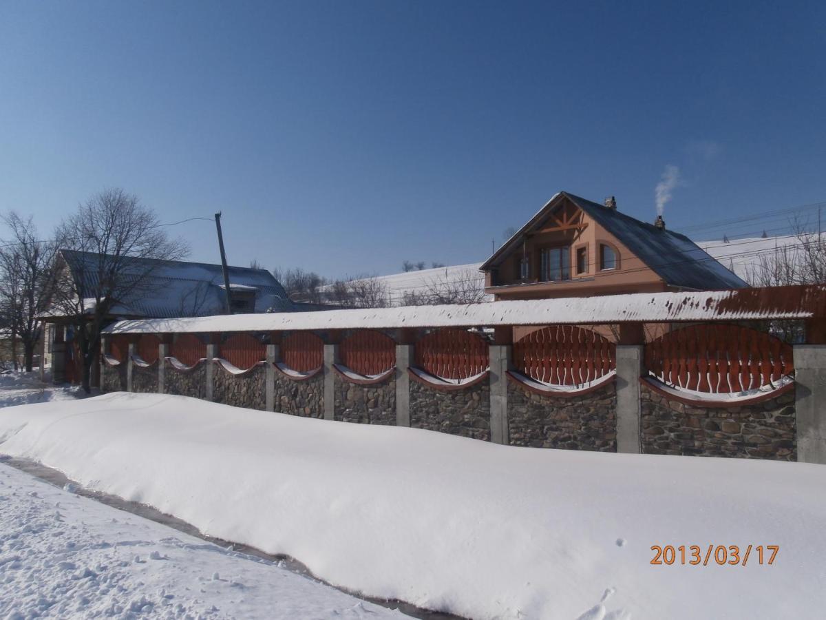 Karpatskiy Domyk Izki Buitenkant foto